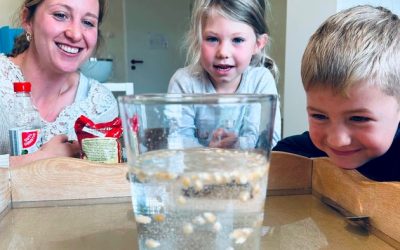 Vom Snoezel-Raum zum Test-Labor