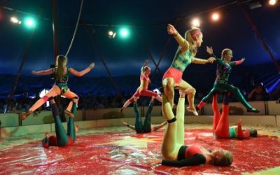 Quamboni schlägt das Zelt auf!