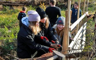 Mit Spaten und Hammer Schöpfung bewahren – Konfirmandinnen und Konfirmanden pflanzen 400 neue Bäume